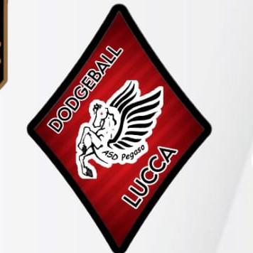 Lucca pegaso