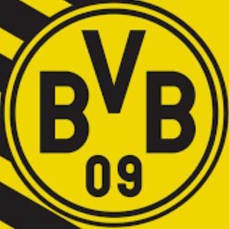 Borussia D.