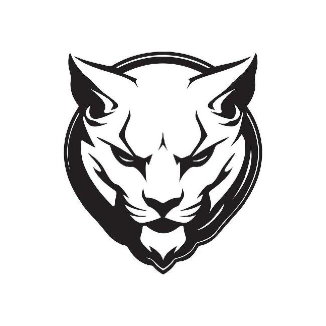 Puma guerrero PRO