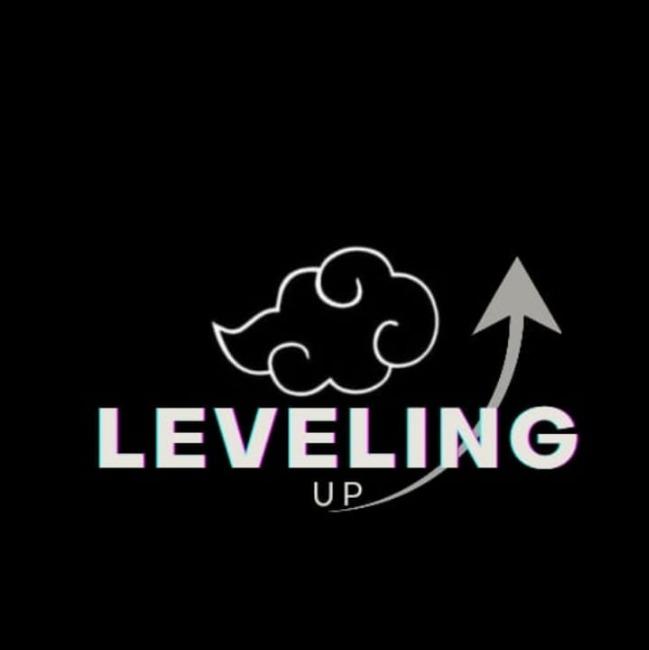 LEVELING UP