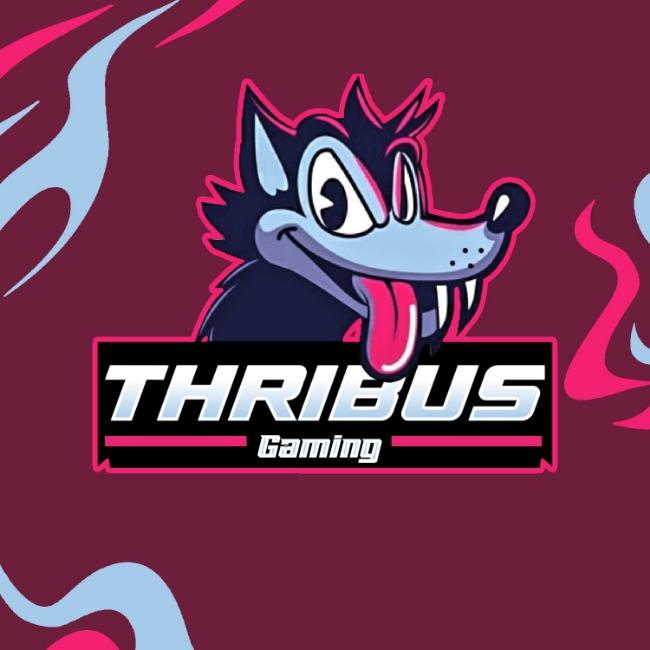 THRIBUS GAMING