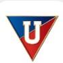 LDU