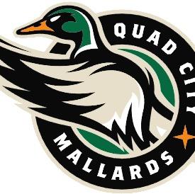 Quad City Mallard