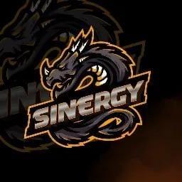 SINERGY