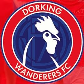 Dorking Wanderers