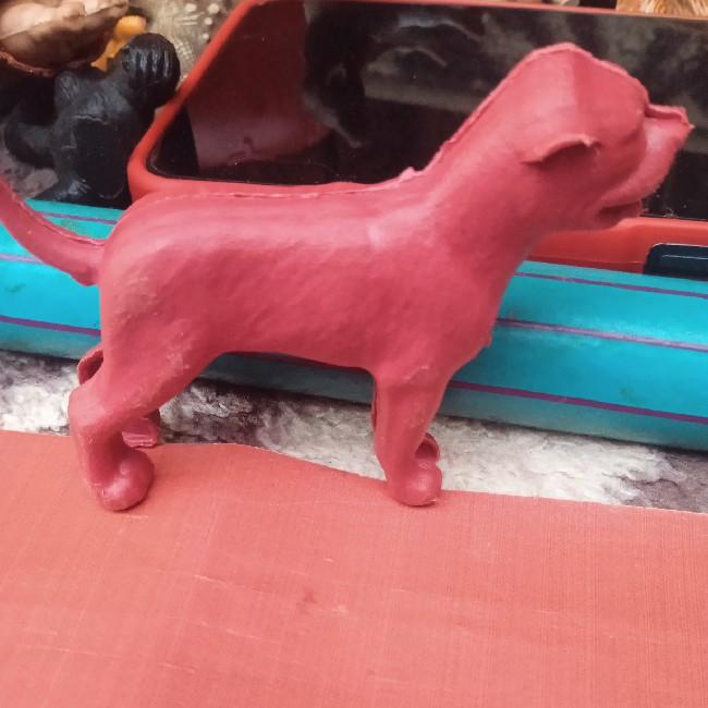 Cachorro vermelho
