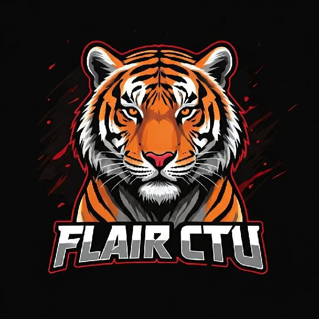 FLAIR CTU