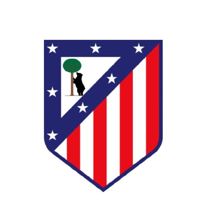 ATLETICO MADRID