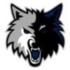 Toronto Wolves