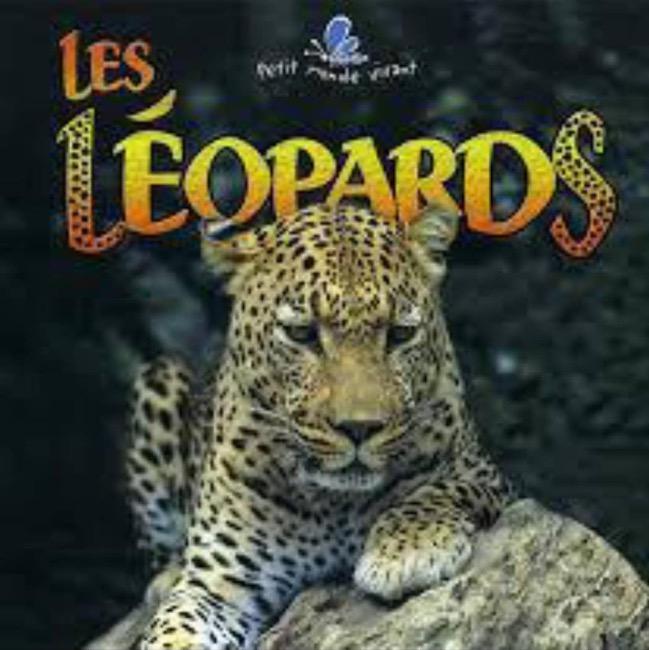 LES LEOPARDS