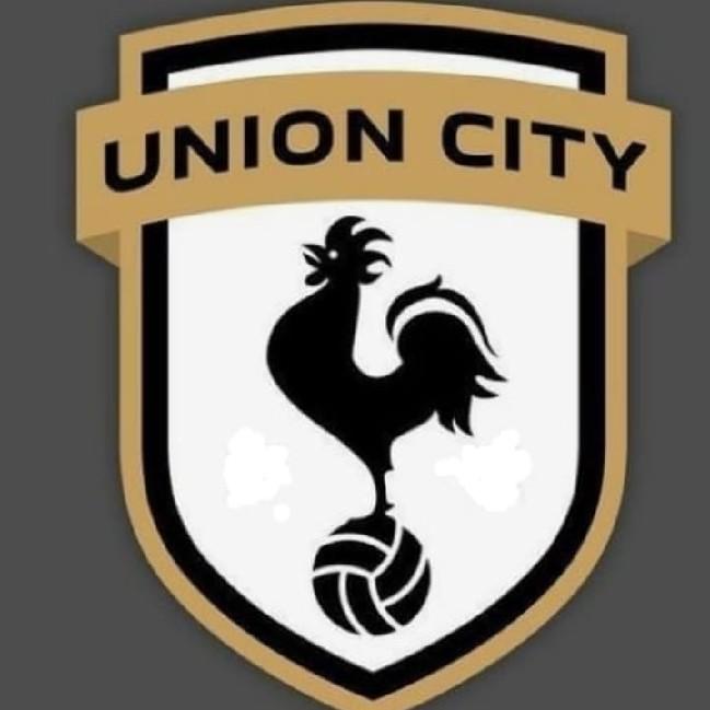 UNIÓN CYTI