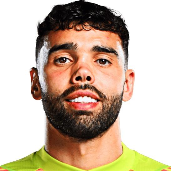 David Raya