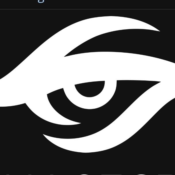 TEAM SECRET