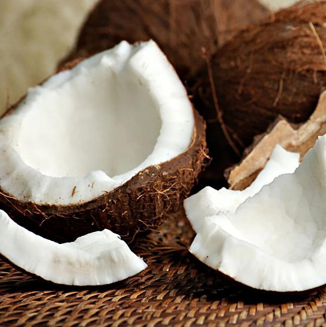 Cocos Friends (Banned/FA)