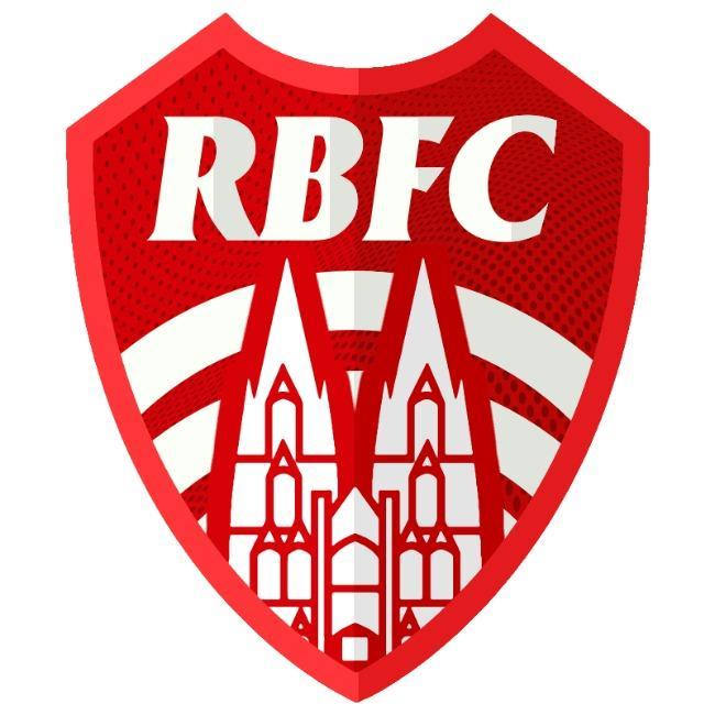 🏆Rheinblick F.C. - Deutscher Fußball-Liga Champions