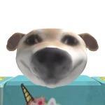 lecturatuberceasal13