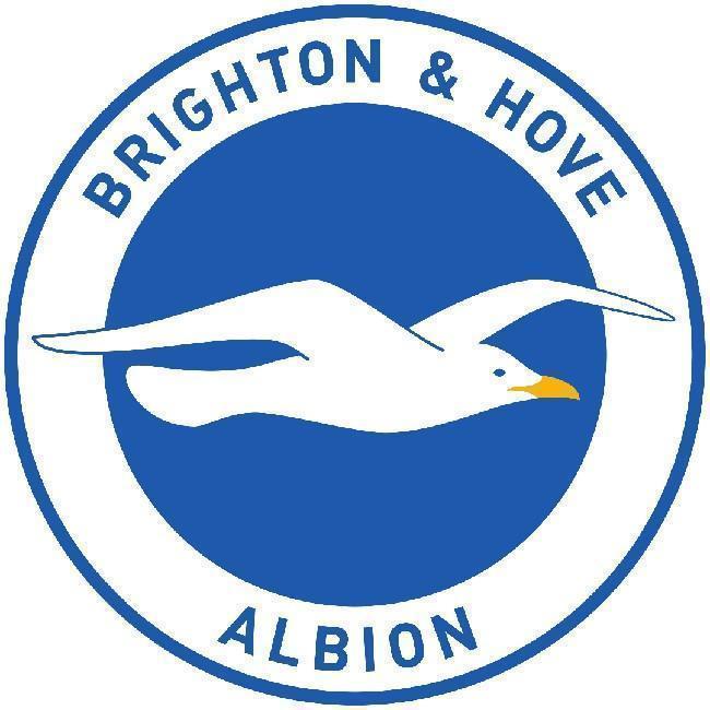 Brigthon & Hove Albion F.C.