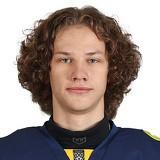 Люзенков Илья