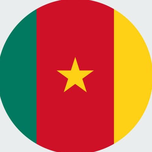 Andre Sambo Anguissa