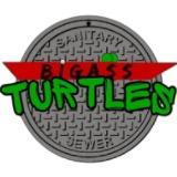 BIG ASS TURTLES [MX]
