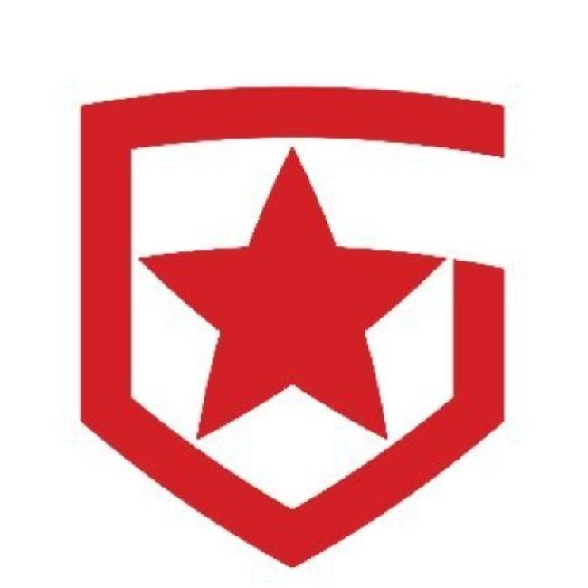 Gambit Esport