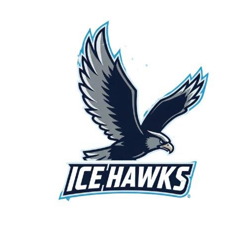 Iowa Ice Hawks