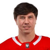 Дмитрий Вишневский