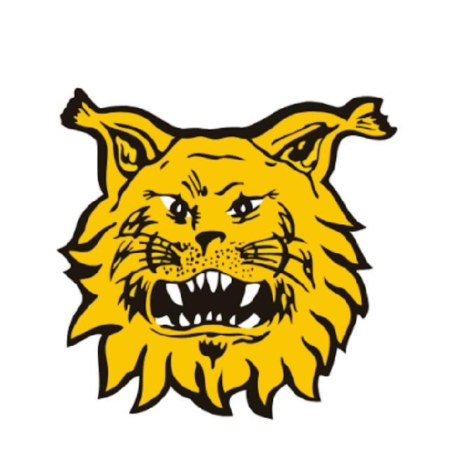 Ilves