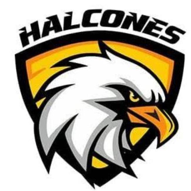 DEPORTIVO HALCONES