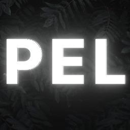 PEL-Puck Elite League