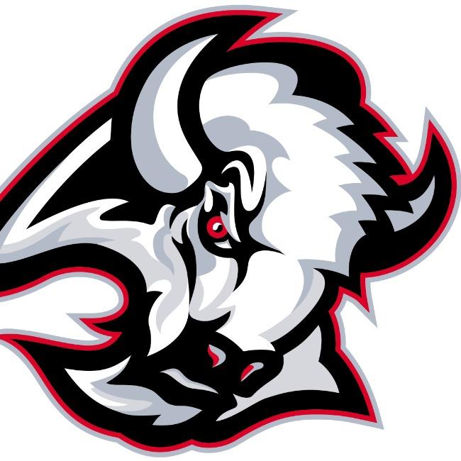 Buffalo Sabres