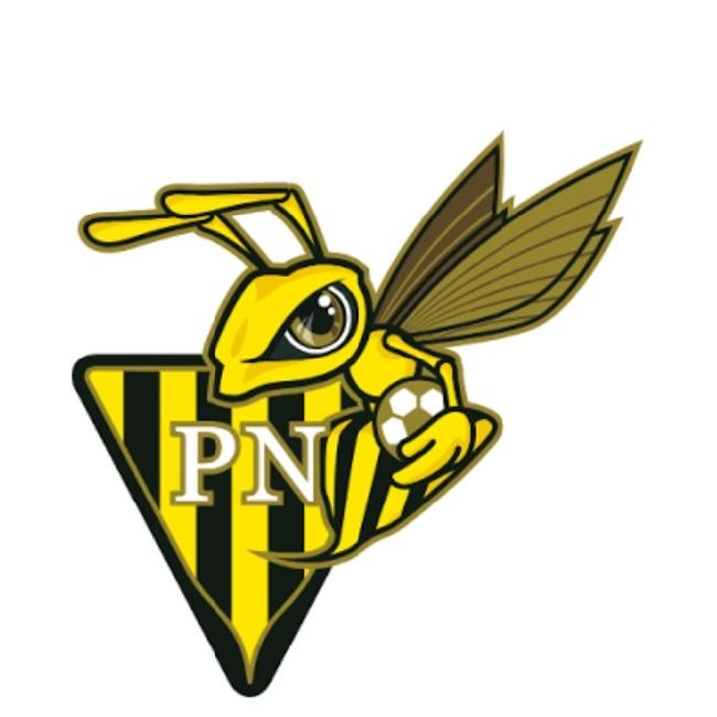 Progrès Niederkorn