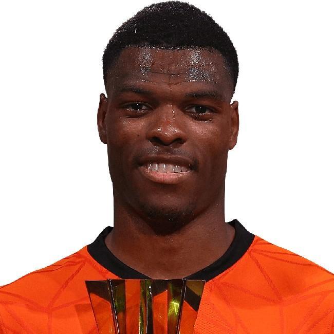 🇳🇱 D. Dumfries