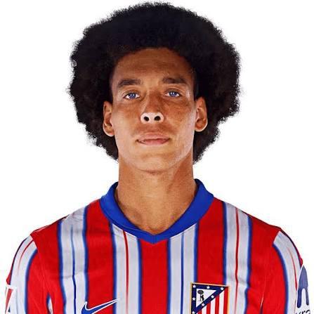 Axel Witsel