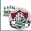FLUMINENSE/SEMELP