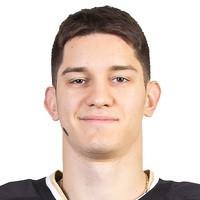 Владислав Леонтьев