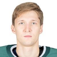 Михаил Бердин