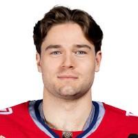 Александр Волков