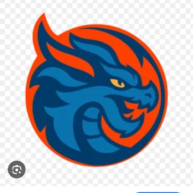 Шанхай Дрэгонс