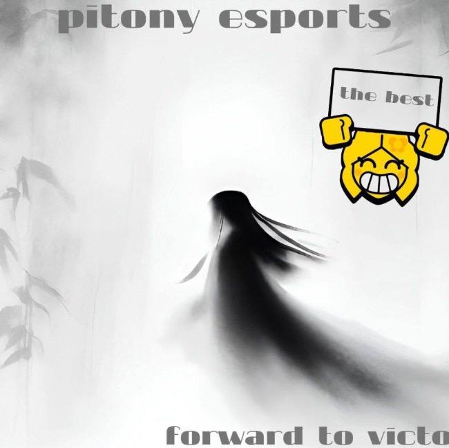 Pitony Esports
