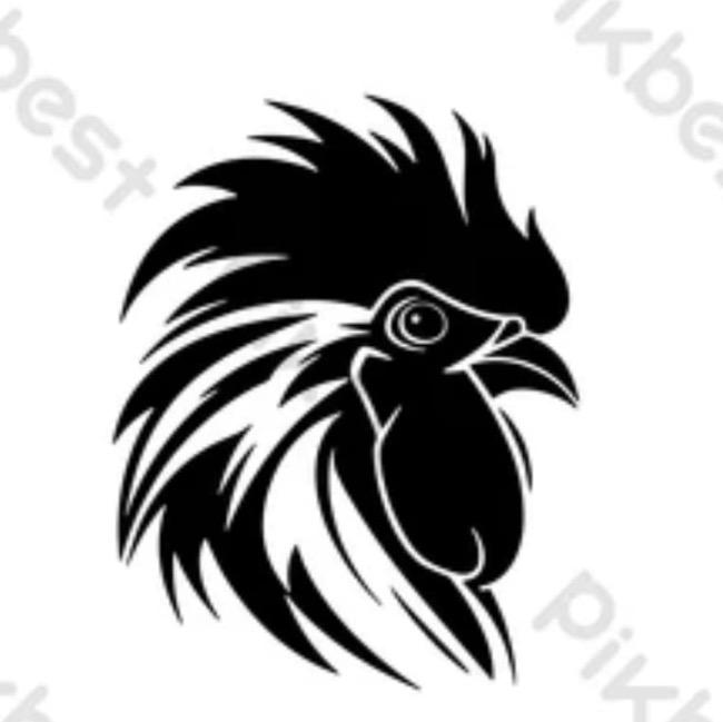 AYAM JANTAN