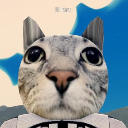 Lil Bru