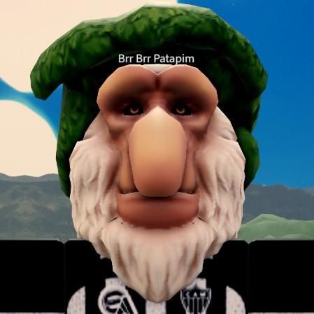 Brr Brr Patapim