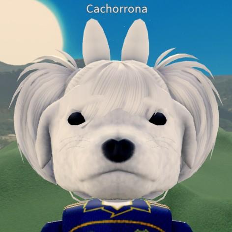 Cachorrona