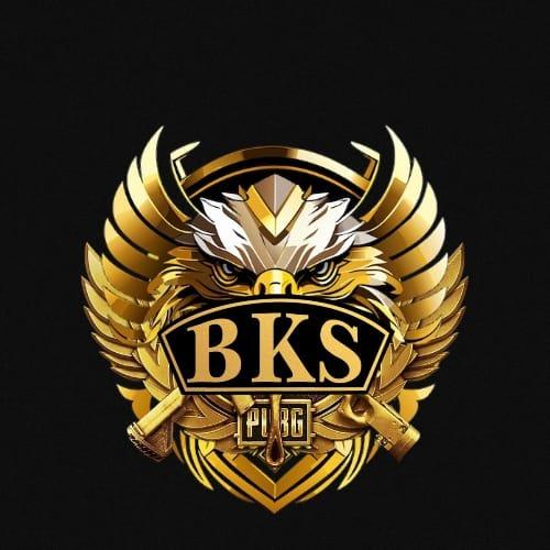 BKS SPORT - BKS - NOGY