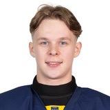 Владимир Михалёв