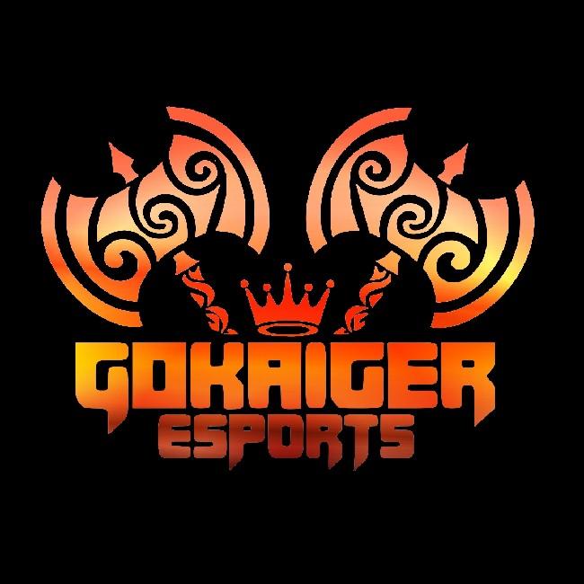 GOKAIGER SPORTS