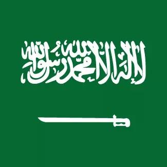 Arabia Saudita Sub-17