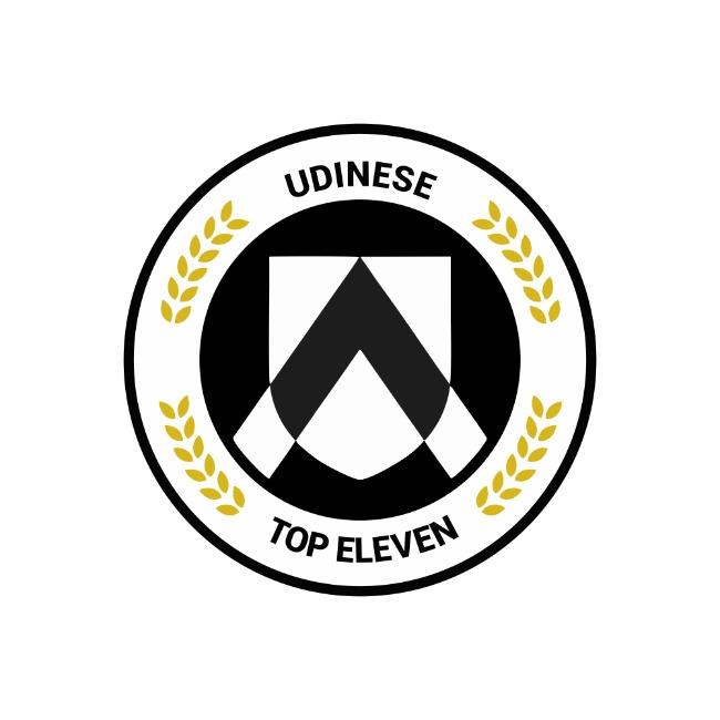 Udinesse