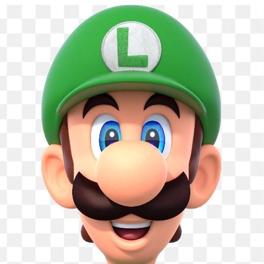 Luigi Bros